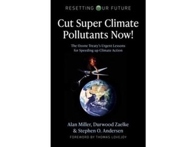 how to avoid a climate disaster book review